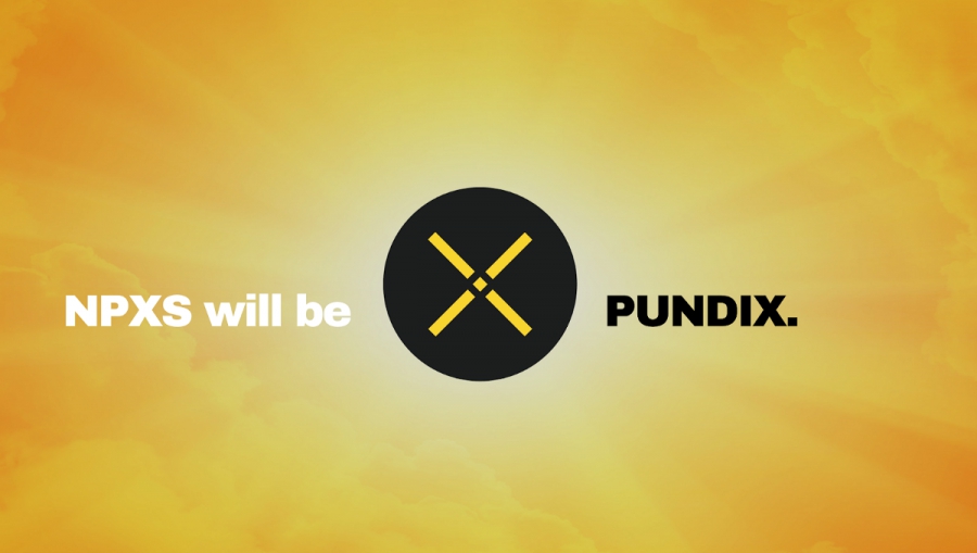 تبدیل Npxs به PUNDIX