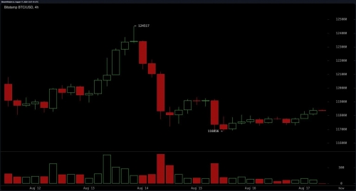 تثبیت قیمت بیت&zwnj;کوین در محدوده ۱۱۸ هزار دلار
