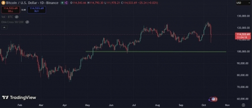 تداوم قدرت بیت‌کوین بالای ۱۰۰ هزار دلار