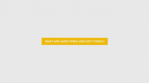 هاردفورک Hard Fork و سافت فورک Soft Fork به چه معنا هستند؟