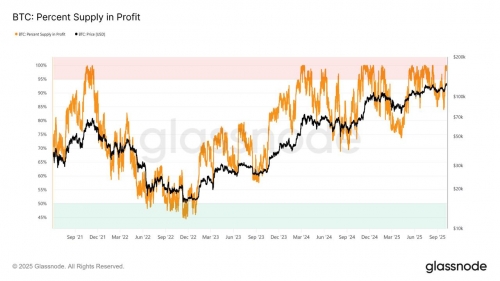 ۹۵٪ از عرضه در گردش بیت&zwnj;کوین وارد سود شد