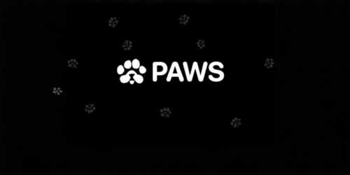 آغاز معاملات توکن ایردراپ PAWS