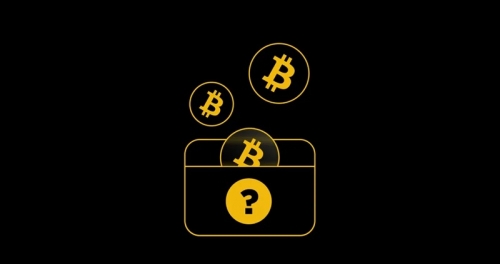 بیشترین بیت کوین دنیا متعلق به کیست؟