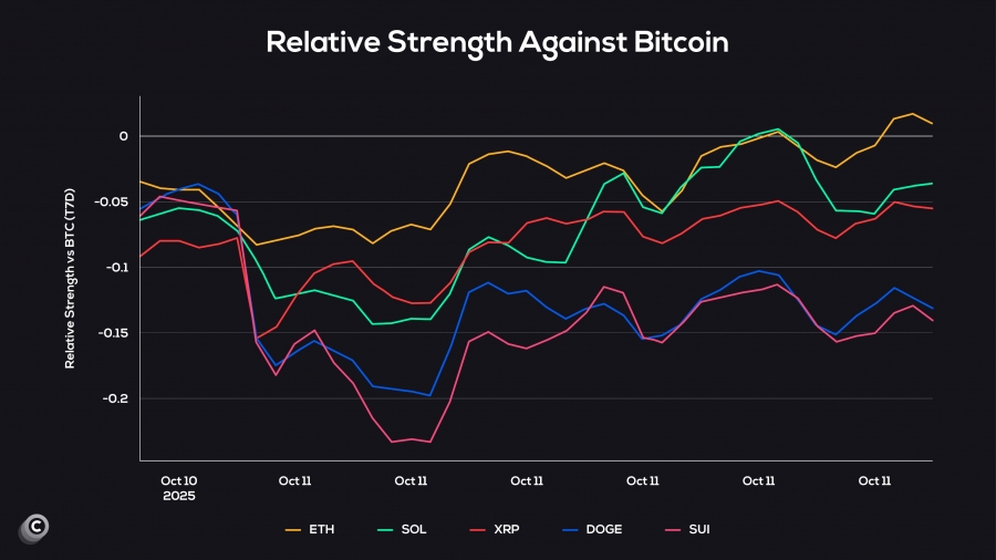 مقایسه عملکرد آلت‌کوین‌ها در برابر بیت‌کوین در نیمه نخست اکتبر