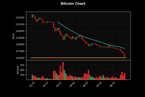 بیت‌کوین به ۱۱۶ هزار دلار رسید