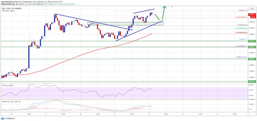 چرا ممکن است بعد از رد کردن 48.6 هزار دلار، قیمت BITCOIN به 50 هزار دلار برسد