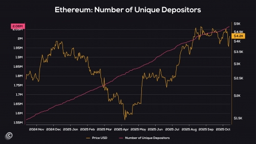 افزایش مداوم تعداد سپرده‌گذاران منحصربه‌فرد در شبکه اتریوم با وجود نوسانات قیمتی