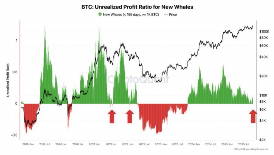 زیان تحقق‌نیافته نهنگ‌های جدید بیت‌کوین منفی شد؛ هشدار نوسانات شدید در راه است!